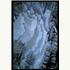 Bouleau (0877)